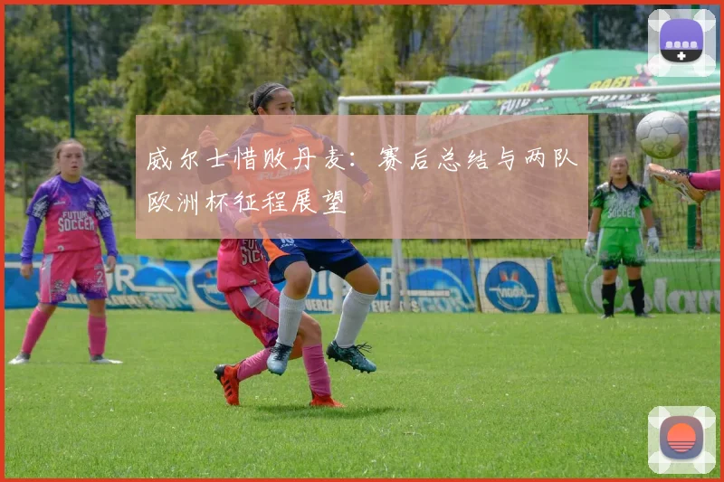 威尔士惜败丹麦：赛后总结与两队欧洲杯征程展望