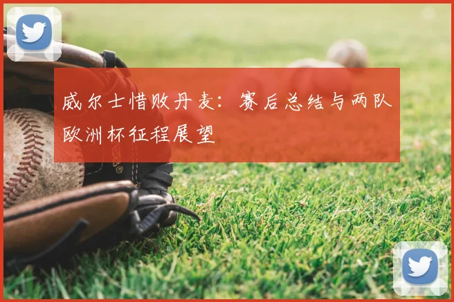 威尔士惜败丹麦：赛后总结与两队欧洲杯征程展望